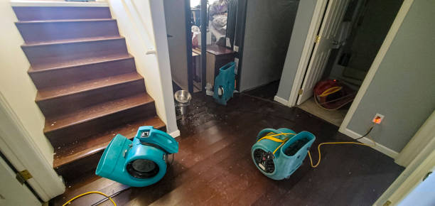 Local water damage restoration in OH