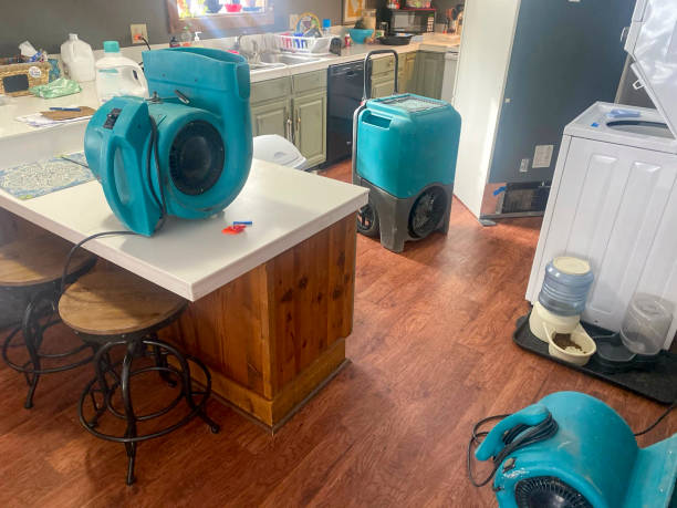 Best Professional water damage repair  in Five Points, OH