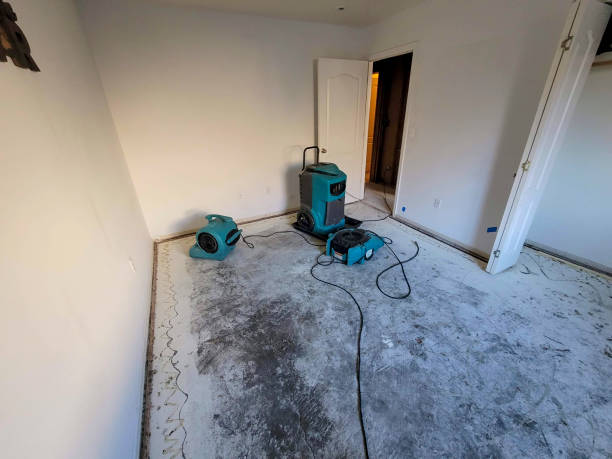 Best Mold removal after water damage  in Five Points, OH