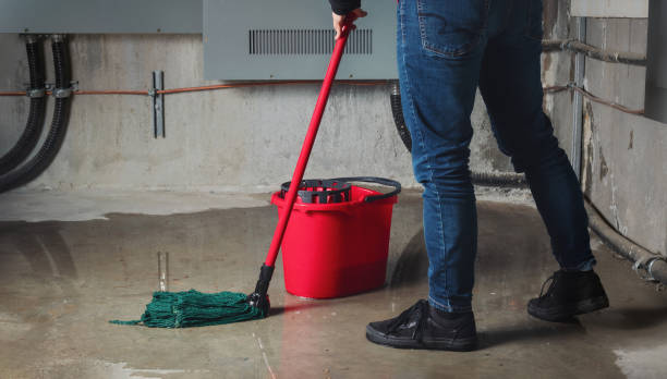 Best Mold removal after water damage  in Five Points, OH