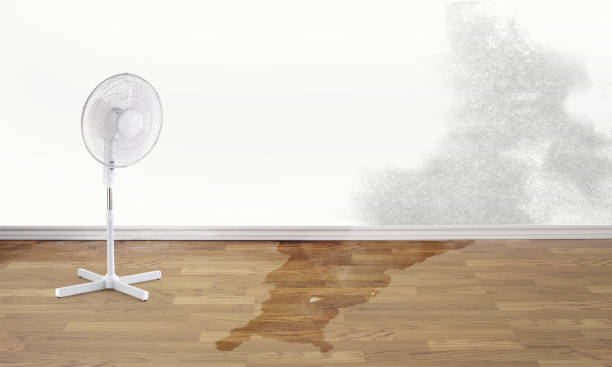 Best Commercial water damage restoration  in Five Points, OH