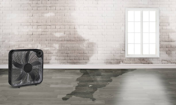 Sewage cleanup and water damage restoration in OH