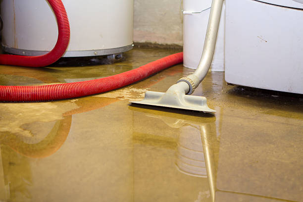 Best Ceiling water damage repair  in Five Points, OH