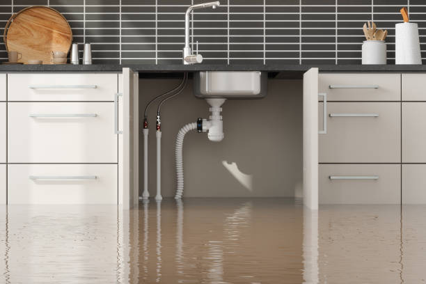 Best Water damage restoration mold remediation  in Five Points, OH